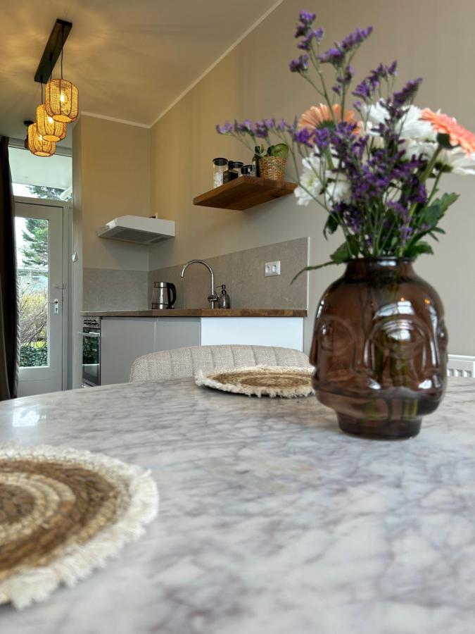 Amsterdam Beach Apartment 33, Private Garden Zandvoort Eksteriør bilde